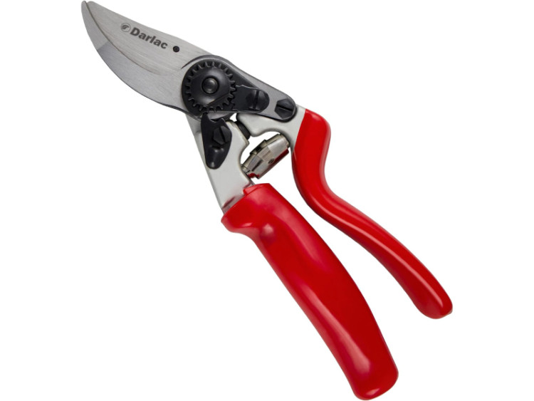 Darlac Expert DP1031