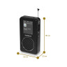 Roberts SportsDAB 65