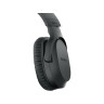Sony MDR-RF895RK