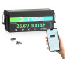 Dyness LiFePo4 24V 100Ah (AR2.5-24V)