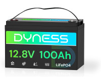 Dyness LiFePo4 12V 100Ah