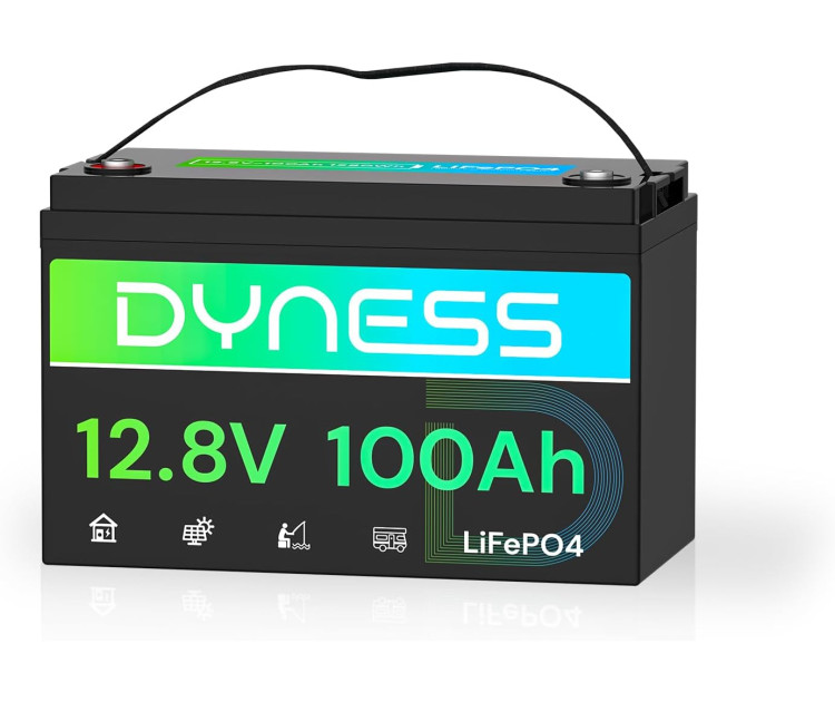 Dyness LiFePo4 12V 100Ah