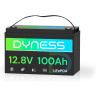 Dyness LiFePo4 12V 100Ah