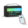 Dyness LiFePo4 12V 100Ah