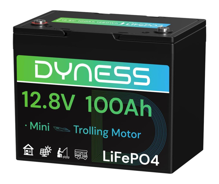 Dyness LiFePo4 12V 100Ah mini Dyness LiFePo4 12V 100Ah mini