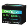 Dyness LiFePo4 12V 100Ah mini Dyness LiFePo4 12V 100Ah mini