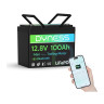 Dyness LiFePo4 12V 100Ah mini Dyness LiFePo4 12V 100Ah mini
