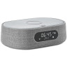 Harman Kardon Oasis Mini