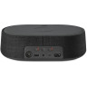Harman Kardon Oasis Mini