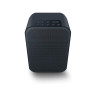 Bluesound PULSE FLEX 2i