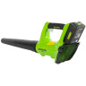Greenworks G24AB