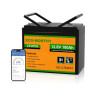 Eco-Worthy LiFePO4 100Ah 12V Bluetooth