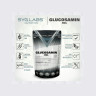 SygLabs Glucosamin HCL 1000 g